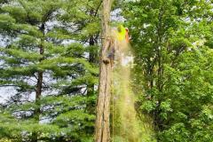 A.C.-Tree-Service-LLC-91-Manor-Dr-Hagerstown-MD-21740-1-301-302-6467-13