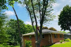 A.C.-Tree-Service-LLC-91-Manor-Dr-Hagerstown-MD-21740-1-301-302-6467-16