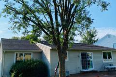 A.C.-Tree-Service-LLC-91-Manor-Dr-Hagerstown-MD-21740-1-301-302-6467-2