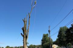 A.C.-Tree-Service-LLC-91-Manor-Dr-Hagerstown-MD-21740-1-301-302-6467-2