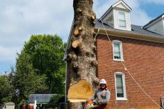 A.C.-Tree-Service-LLC-91-Manor-Dr-Hagerstown-MD-21740-1-301-302-6467-20