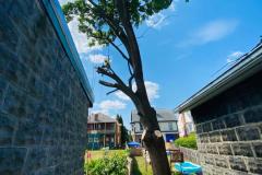 A.C.-Tree-Service-LLC-91-Manor-Dr-Hagerstown-MD-21740-1-301-302-6467-24