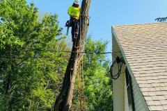 A.C.-Tree-Service-LLC-91-Manor-Dr-Hagerstown-MD-21740-1-301-302-6467-25