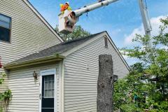 A.C.-Tree-Service-LLC-91-Manor-Dr-Hagerstown-MD-21740-1-301-302-6467-27