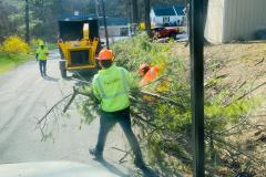A.C.-Tree-Service-LLC-91-Manor-Dr-Hagerstown-MD-21740-1-301-302-6467-28