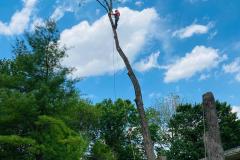 A.C.-Tree-Service-LLC-91-Manor-Dr-Hagerstown-MD-21740-1-301-302-6467-3