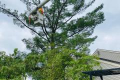 A.C.-Tree-Service-LLC-91-Manor-Dr-Hagerstown-MD-21740-1-301-302-6467-31