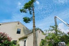 A.C.-Tree-Service-LLC-91-Manor-Dr-Hagerstown-MD-21740-1-301-302-6467-36