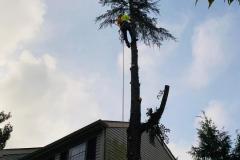 A.C.-Tree-Service-LLC-91-Manor-Dr-Hagerstown-MD-21740-1-301-302-6467-38
