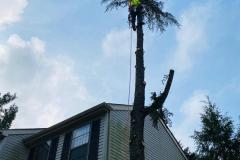 A.C.-Tree-Service-LLC-91-Manor-Dr-Hagerstown-MD-21740-1-301-302-6467-39