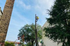 A.C.-Tree-Service-LLC-91-Manor-Dr-Hagerstown-MD-21740-1-301-302-6467-40