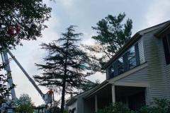 A.C.-Tree-Service-LLC-91-Manor-Dr-Hagerstown-MD-21740-1-301-302-6467-41