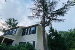 A.C.-Tree-Service-LLC-91-Manor-Dr-Hagerstown-MD-21740-1-301-302-6467-46