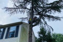 A.C.-Tree-Service-LLC-91-Manor-Dr-Hagerstown-MD-21740-1-301-302-6467-47