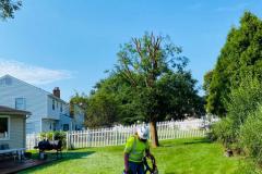 A.C.-Tree-Service-LLC-91-Manor-Dr-Hagerstown-MD-21740-1-301-302-6467-5
