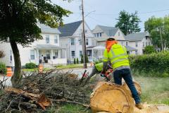 A.C.-Tree-Service-LLC-91-Manor-Dr-Hagerstown-MD-21740-1-301-302-6467-57