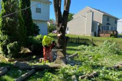 A.C.-Tree-Service-LLC-91-Manor-Dr-Hagerstown-MD-21740-1-301-302-6467-6