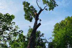 A.C.-Tree-Service-LLC-91-Manor-Dr-Hagerstown-MD-21740-1-301-302-6467-62