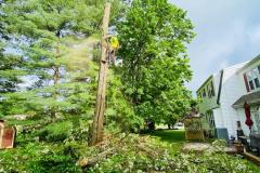 A.C.-Tree-Service-LLC-91-Manor-Dr-Hagerstown-MD-21740-1-301-302-6467-8