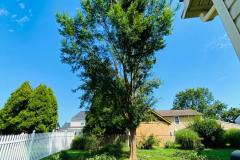 A.C.-Tree-Service-LLC-91-Manor-Dr-Hagerstown-MD-21740-1-301-302-6467-9