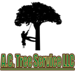 Tree Services Hagerstown MD