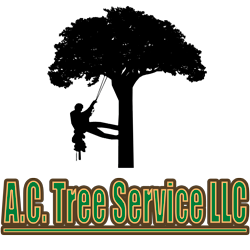 Tree Services Hagerstown MD - A.C. Tree Service LLC