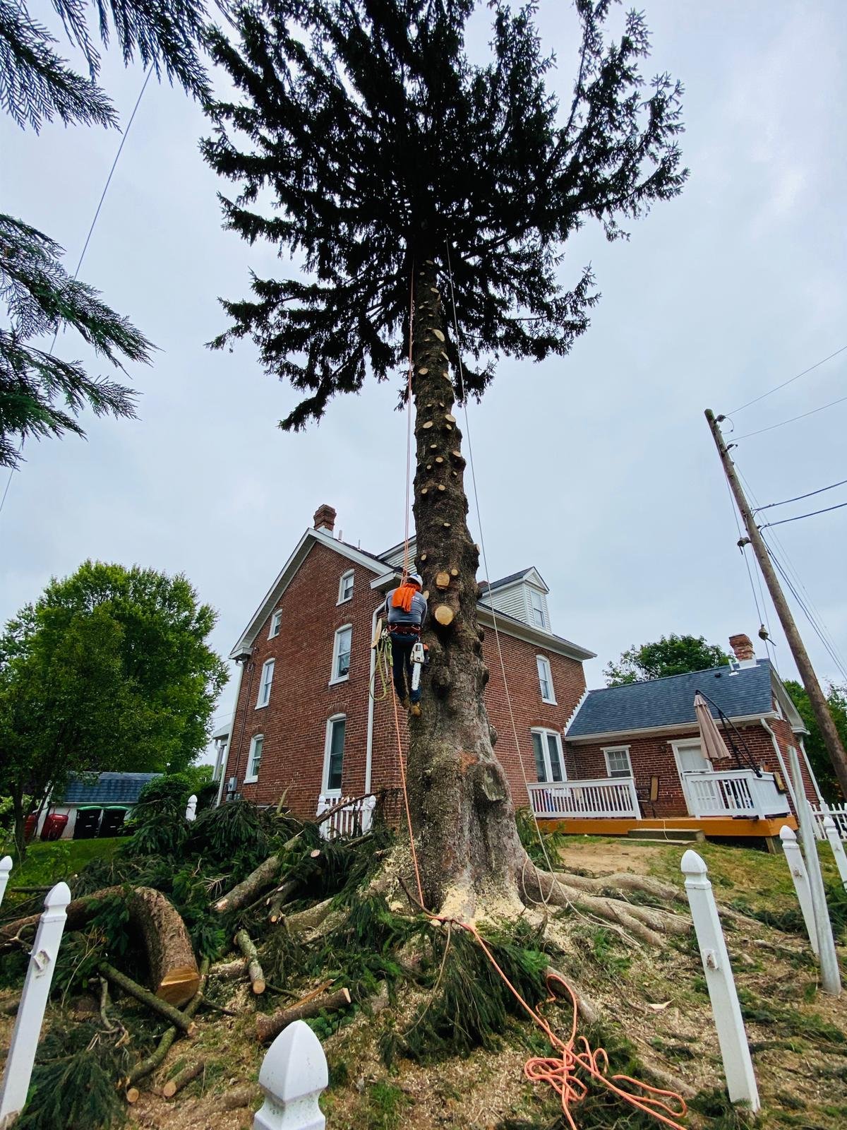 A.C. Tree Service LLC-1-301-302-6467