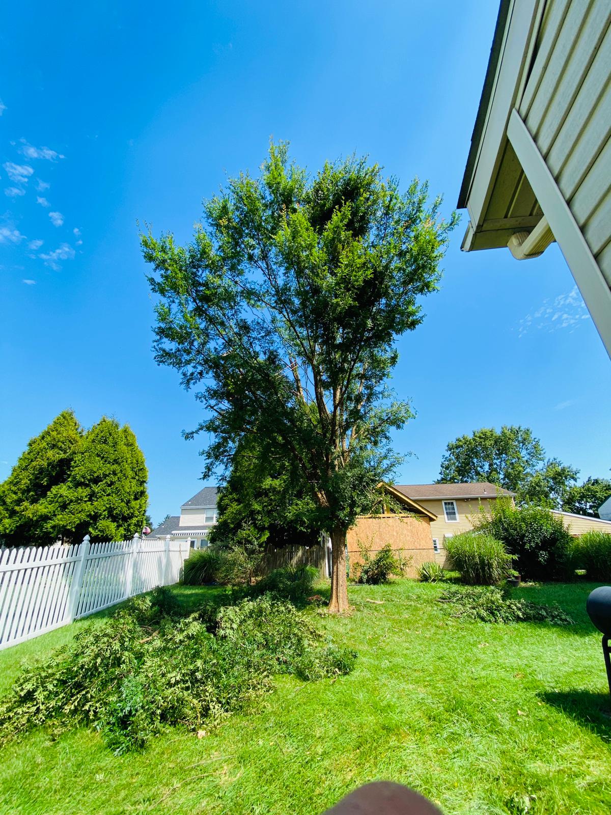A.C. Tree Service LLC-91 Manor Dr Hagerstown, MD 21740-1-301-302-6467 (9)
