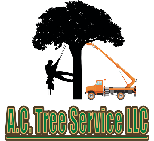Home - A.C. Tree Service LLC