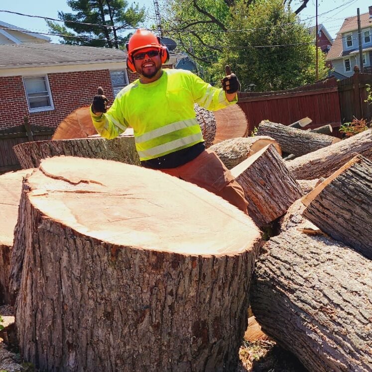 A.C. Tree Service LLC-91 Manor Dr Hagerstown, MD 21740-1-301-302-6467 (144)