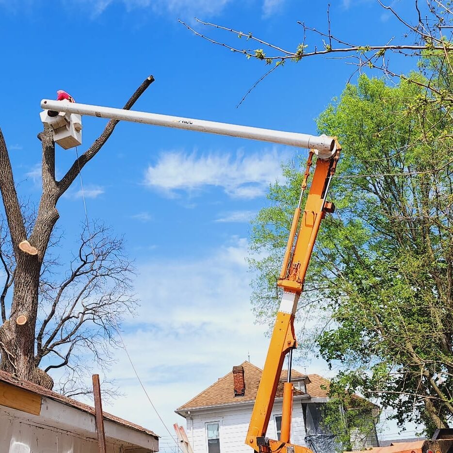 A.C. Tree Service LLC-91 Manor Dr Hagerstown, MD 21740-1-301-302-6467 (154)