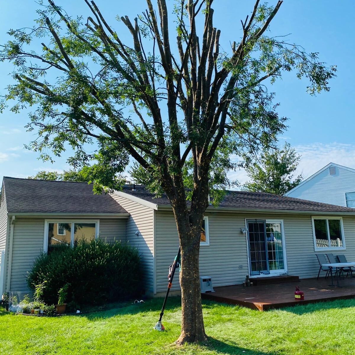 A.C. Tree Service LLC-91 Manor Dr Hagerstown, MD 21740-1-301-302-6467 (2) A.C. Tree Service LLC-91 Manor Dr Hagerstown, MD 21740-1-301-302-6467 (2)