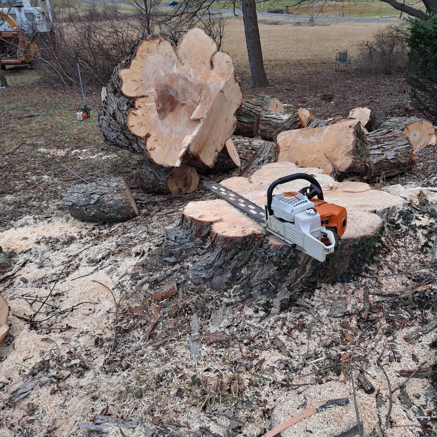 A.C. Tree Service LLC-91 Manor Dr Hagerstown, MD 21740-1-301-302-6467 (241) A.C. Tree Service LLC-91 Manor Dr Hagerstown, MD 21740-1-301-302-6467 (241)