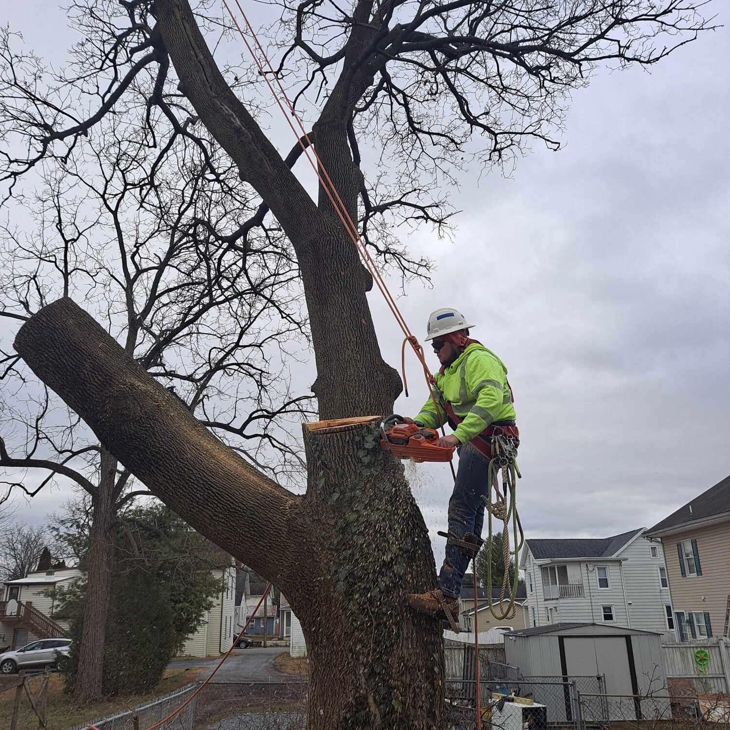 A.C. Tree Service LLC-91 Manor Dr Hagerstown, MD 21740-1-301-302-6467 (262)