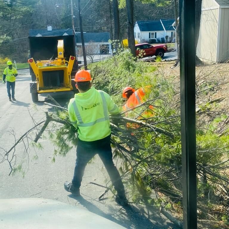 A.C. Tree Service LLC-91 Manor Dr Hagerstown, MD 21740-1-301-302-6467 (28) A.C. Tree Service LLC-91 Manor Dr Hagerstown, MD 21740-1-301-302-6467 (28)
