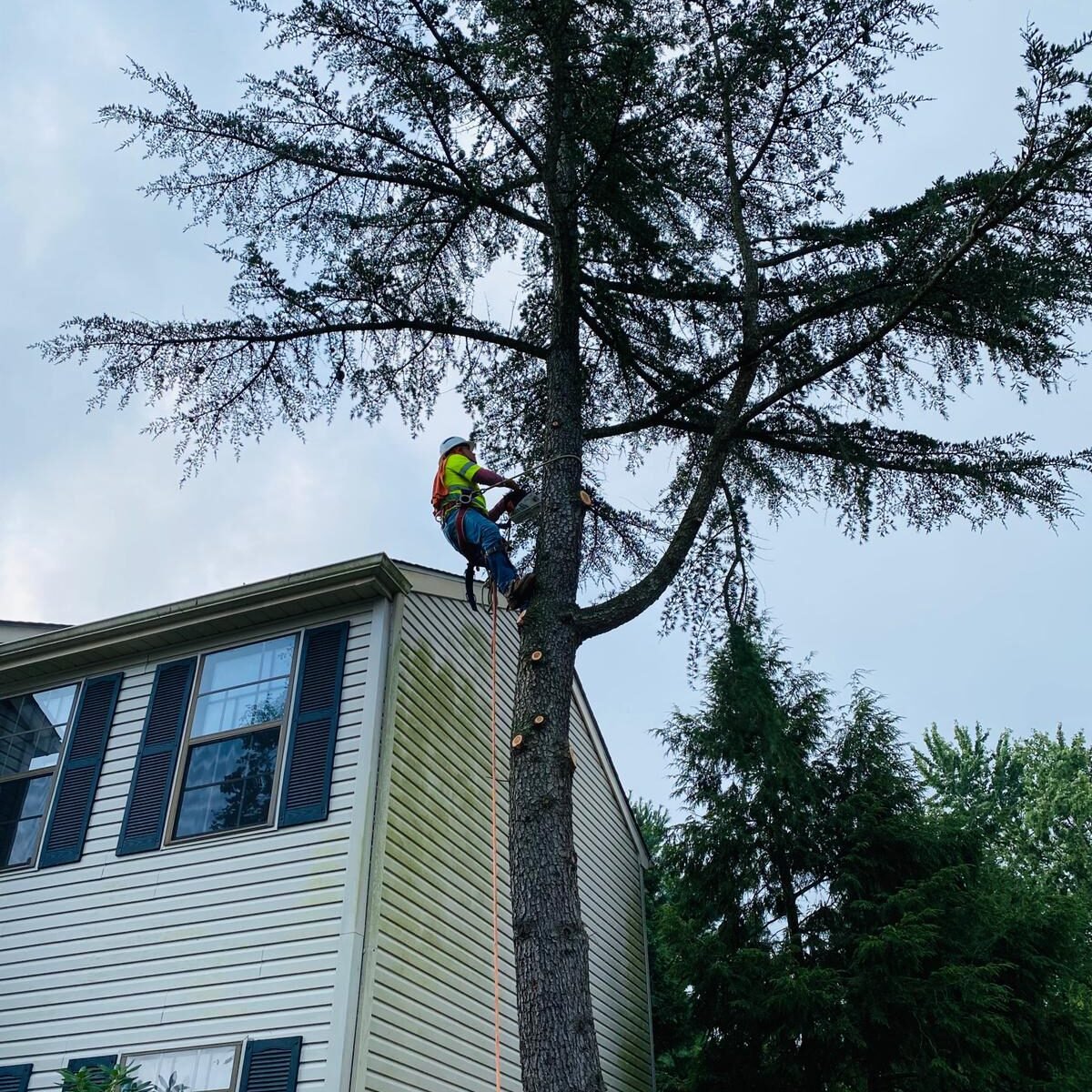 A.C. Tree Service LLC-91 Manor Dr Hagerstown, MD 21740-1-301-302-6467 (49)