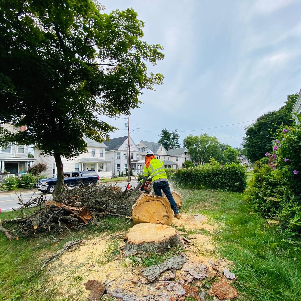 A.C. Tree Service LLC-91 Manor Dr Hagerstown, MD 21740-1-301-302-6467 (58) A.C. Tree Service LLC-91 Manor Dr Hagerstown, MD 21740-1-301-302-6467 (58)