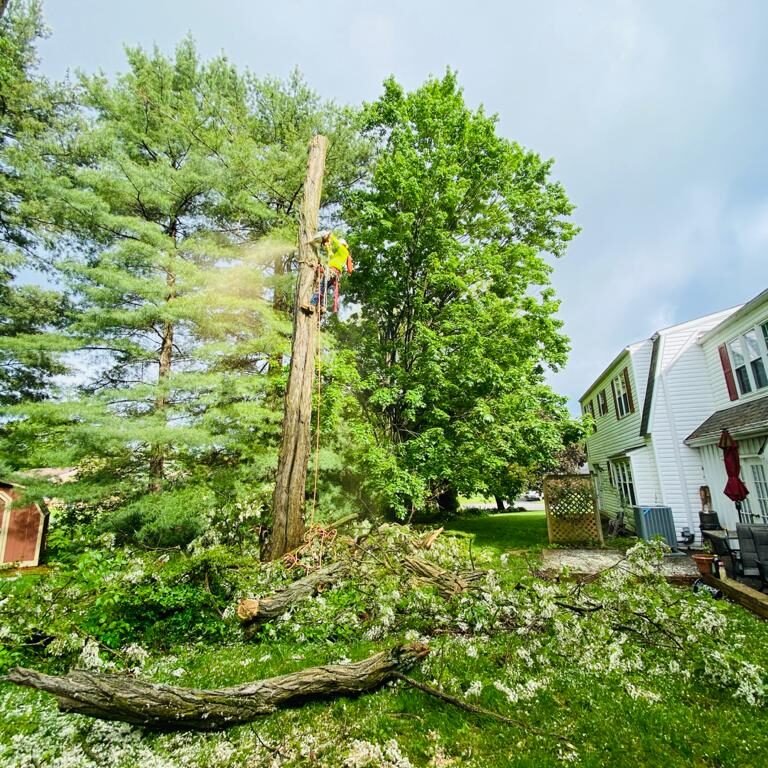 A.C. Tree Service LLC-91 Manor Dr Hagerstown, MD 21740-1-301-302-6467 (8)
