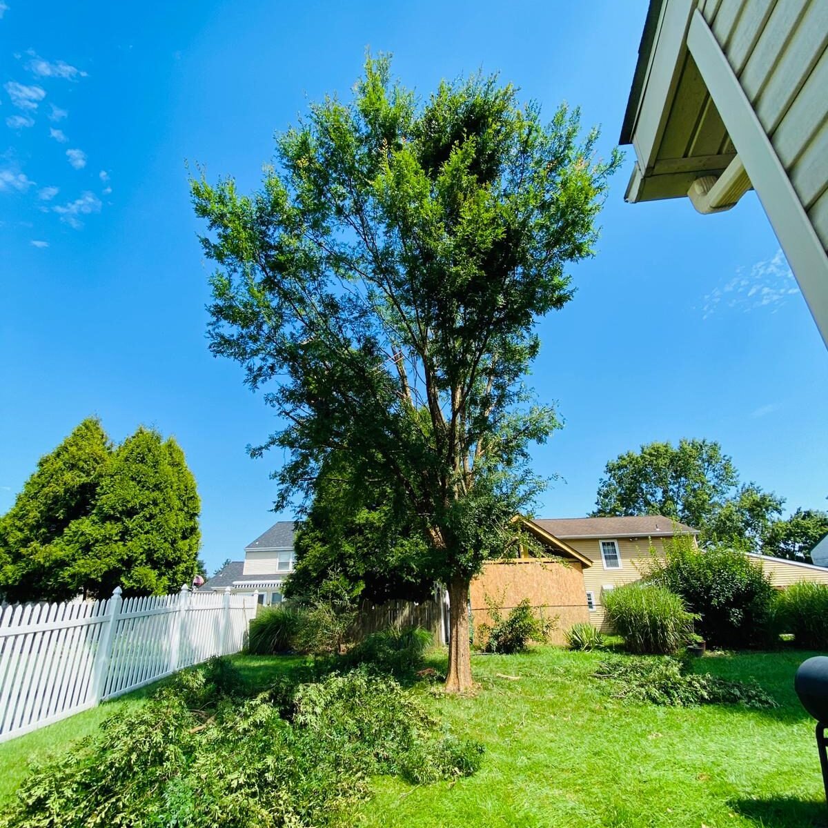A.C. Tree Service LLC-91 Manor Dr Hagerstown, MD 21740-1-301-302-6467 (9) A.C. Tree Service LLC-91 Manor Dr Hagerstown, MD 21740-1-301-302-6467 (9)